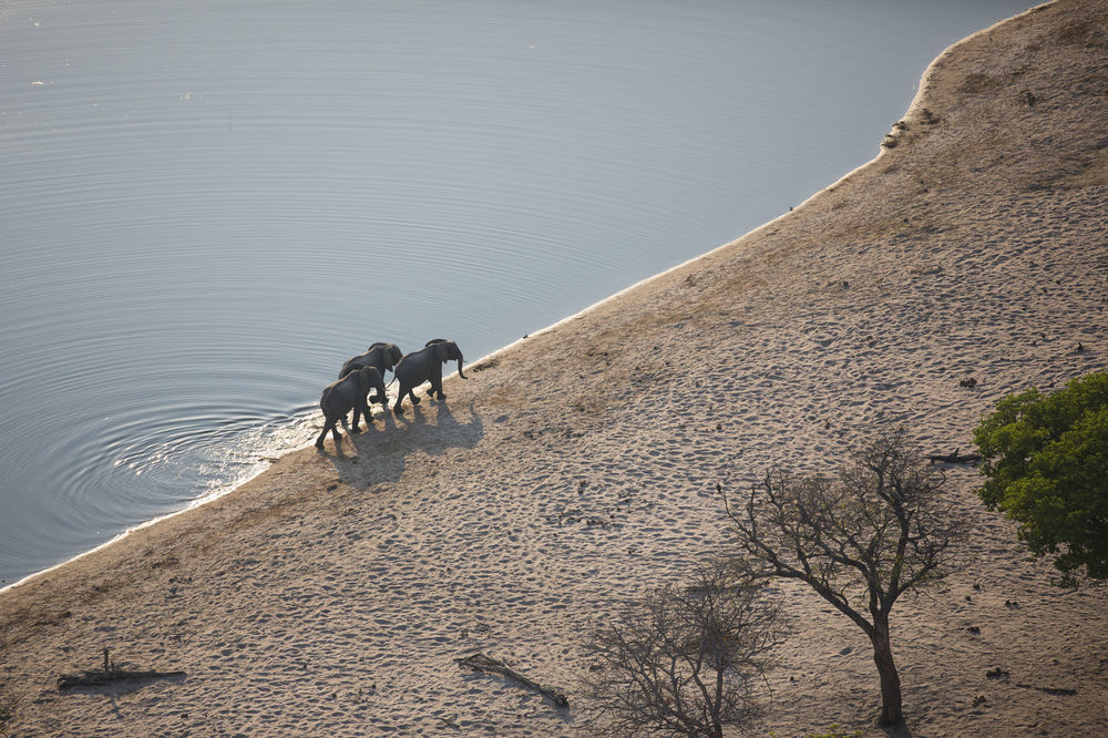 Nambwa Tented Lodge Kongola Eksteriør bilde